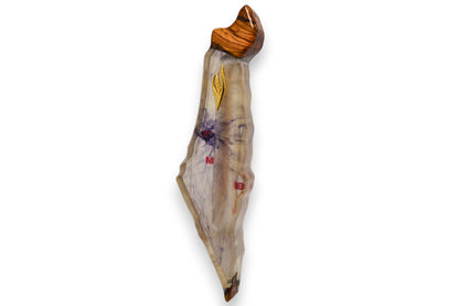 Sacred Land Collection - Small - Crystal Light